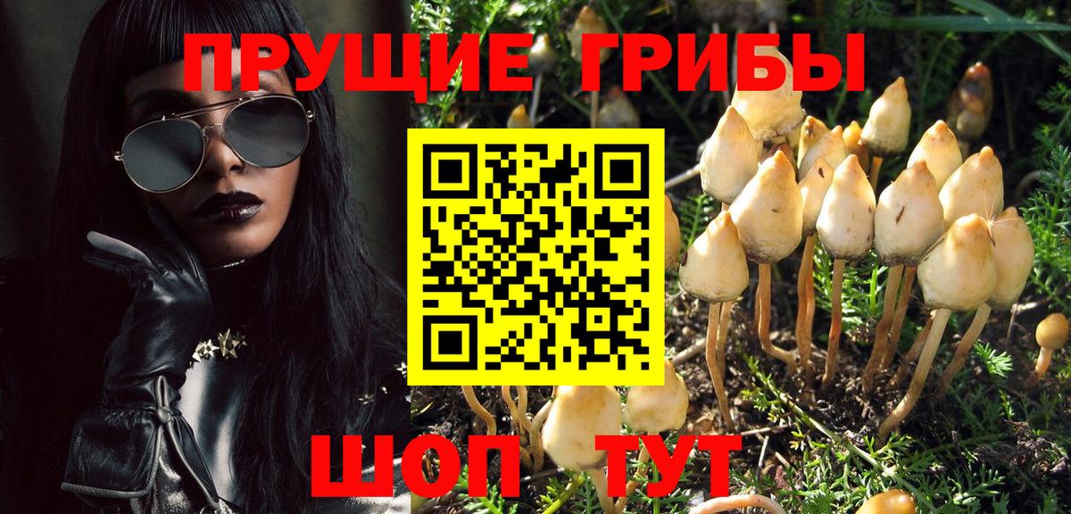 Галлюциногенные грибы Magic Shrooms  Псилоцибиновые грибы Magic Shrooms  Иркутск 