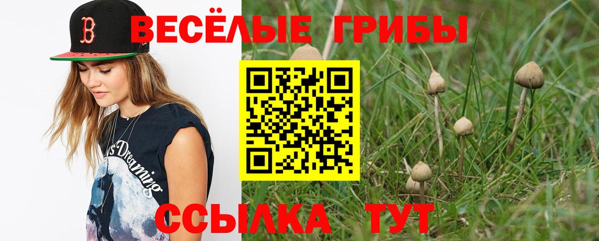 Галлюциногенные грибы мухоморы Иркутск