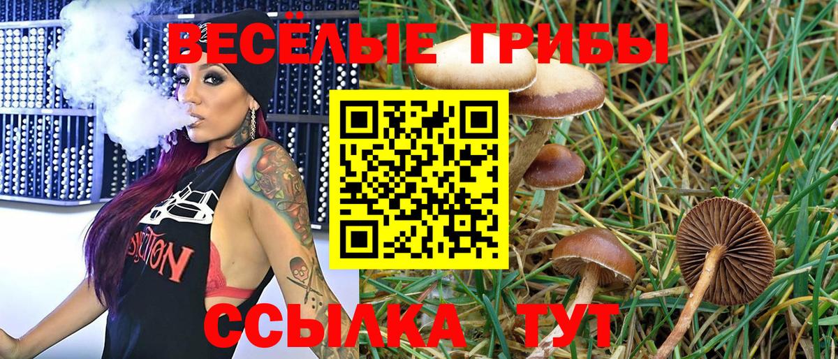 Иркутск  закладки  Вход с VPN  Галлюциногенные грибы мицелий 